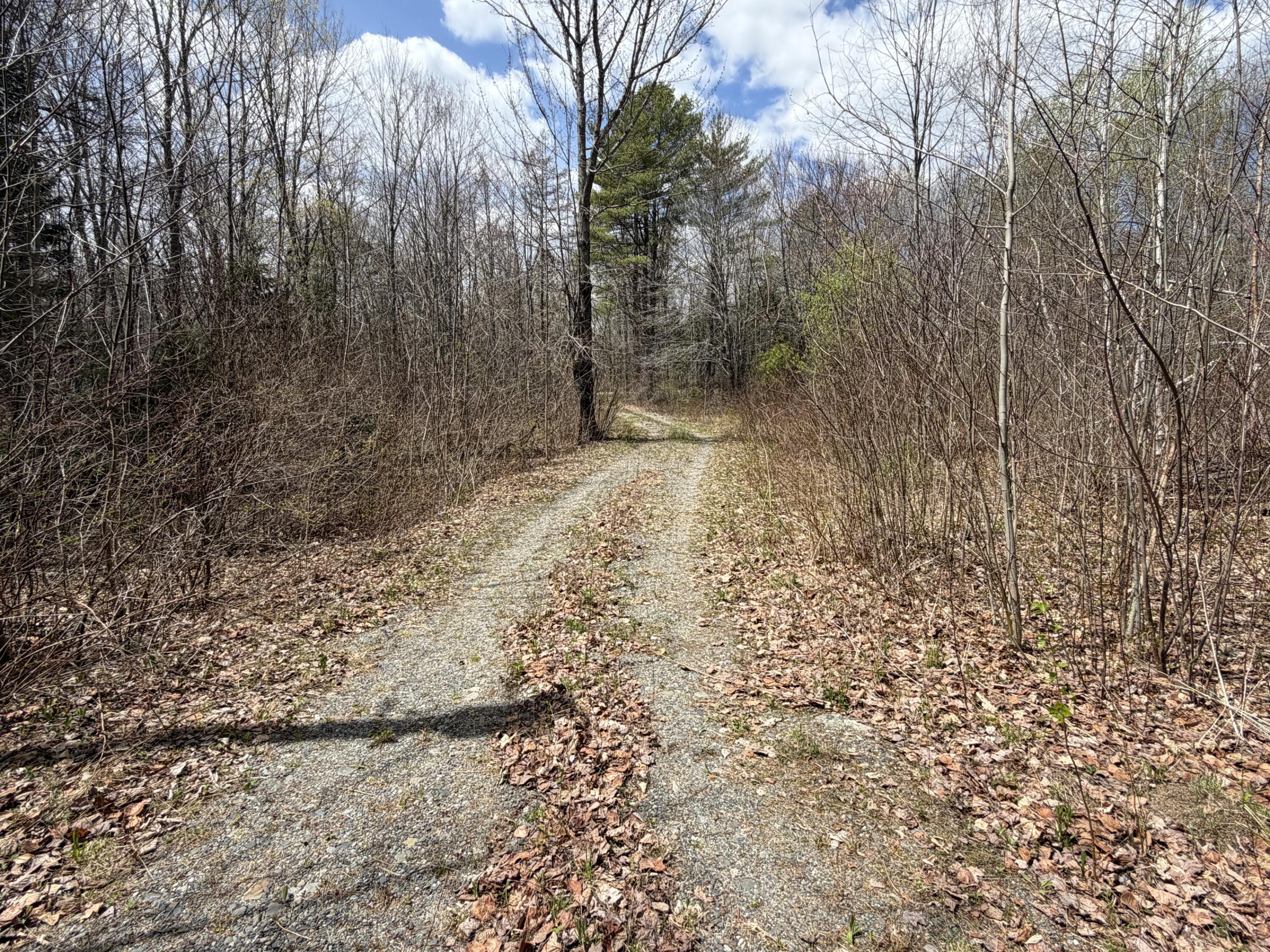 1163 Seboeis Road Howland, ME 04448 - Photo 4 of 28 4