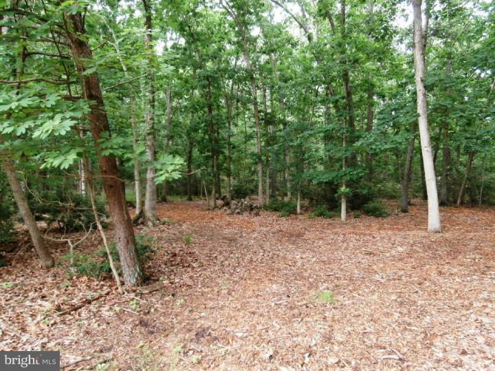 135 Tuckerton Road Shamong, NJ 08088 - Photo 14 of 18 Gallery Image 14