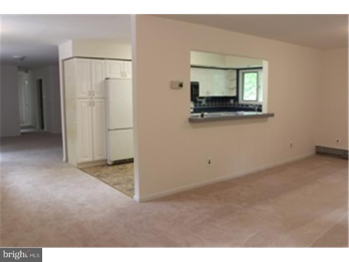 135 Tuckerton Road Shamong, NJ 08088 - Photo 4 of 18 Gallery Image 4