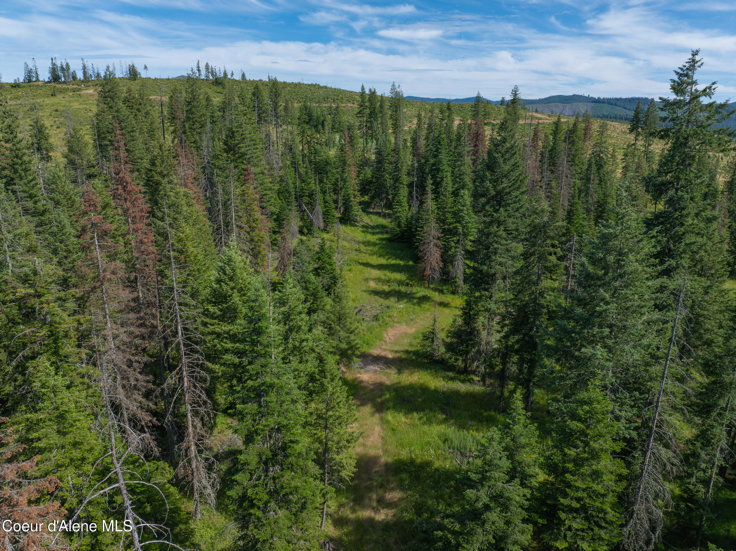 6 Harvard Id 83834 Harvard, ID 83834 - Photo 23 of 32 Cow Creek Tweedy (23 of 29)