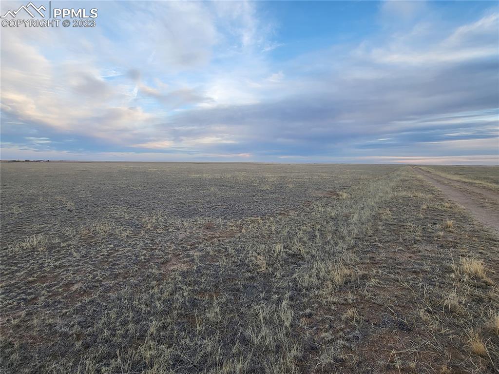 Book Road Yoder, CO 80864 - Photo 25 of 33 a view of a field with trees in background