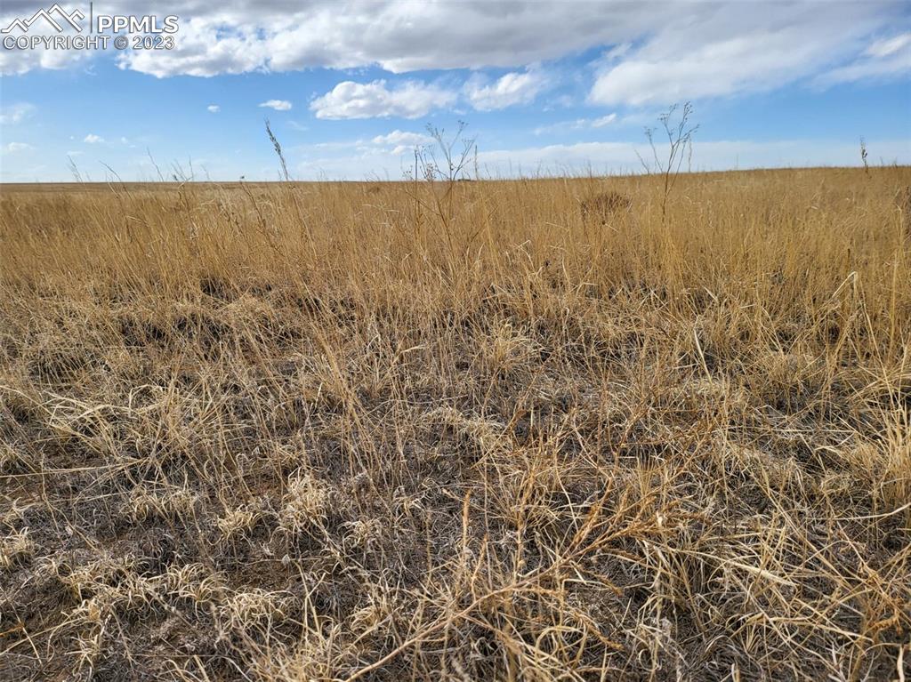 Book Road Yoder, CO 80864 - Photo 4 of 33 a view of an ocean