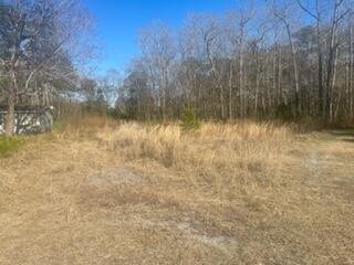 1164 Yough Hall Road Mount Pleasant, SC 29466 - Photo 26 of 27 IMG_4574