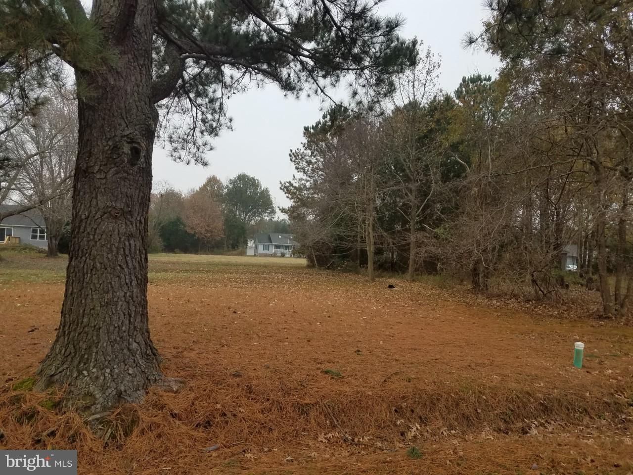 0 Azalea Road, Unit LOT 254 Colonial Beach, VA 22443 - Photo 1 of 1 Gallery Image 1