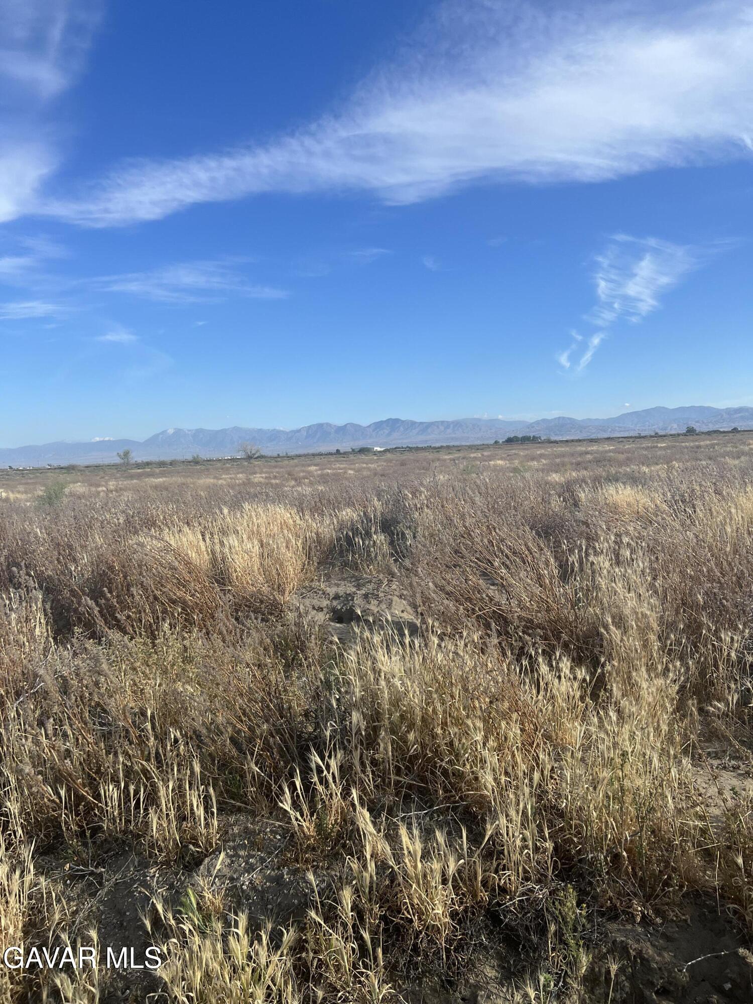 65 J Avenue Lancaster, CA 93535 - Photo 4 of 5 IMG_4761