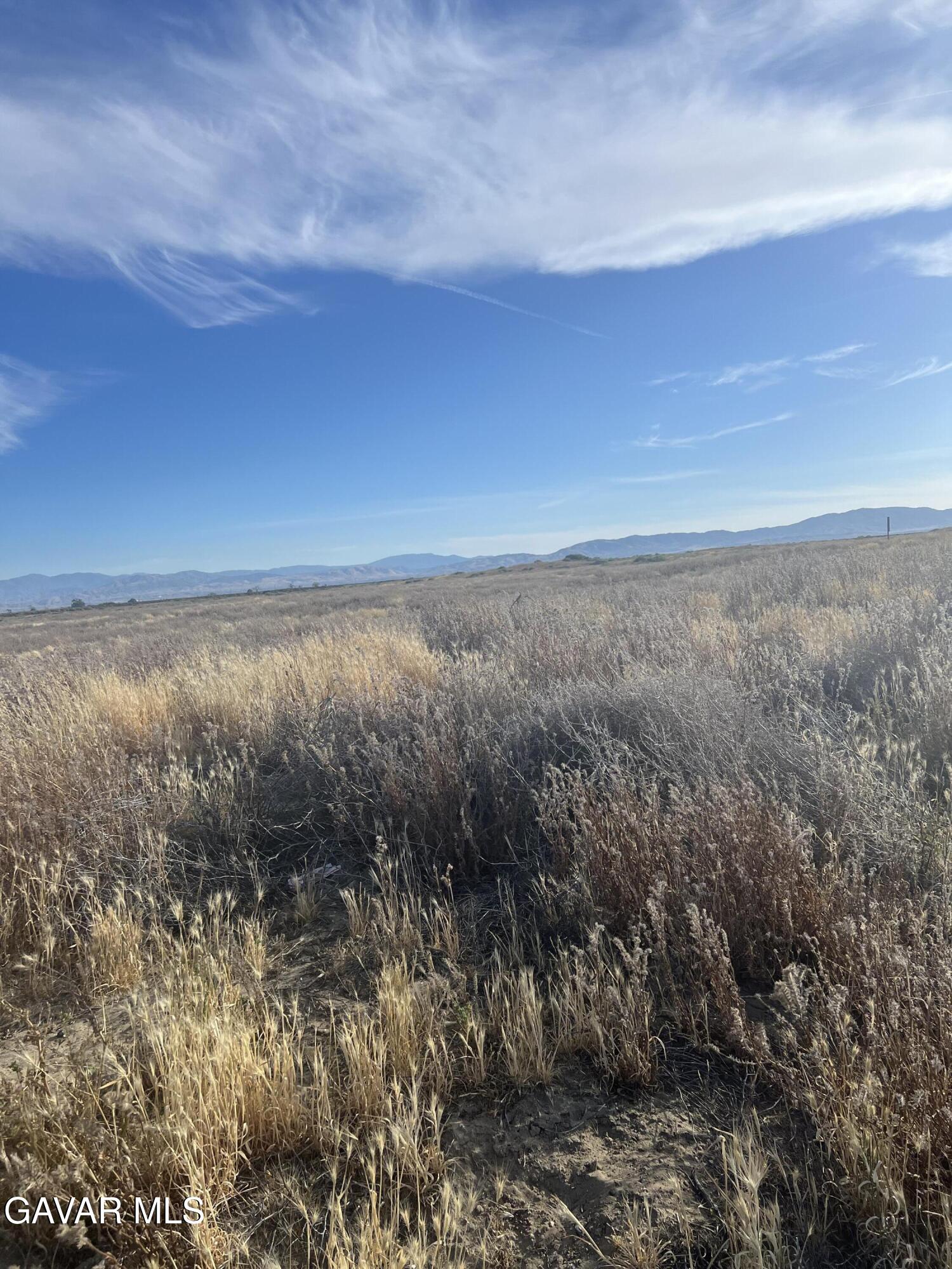 65 J Avenue Lancaster, CA 93535 - Photo 5 of 5 IMG_4762