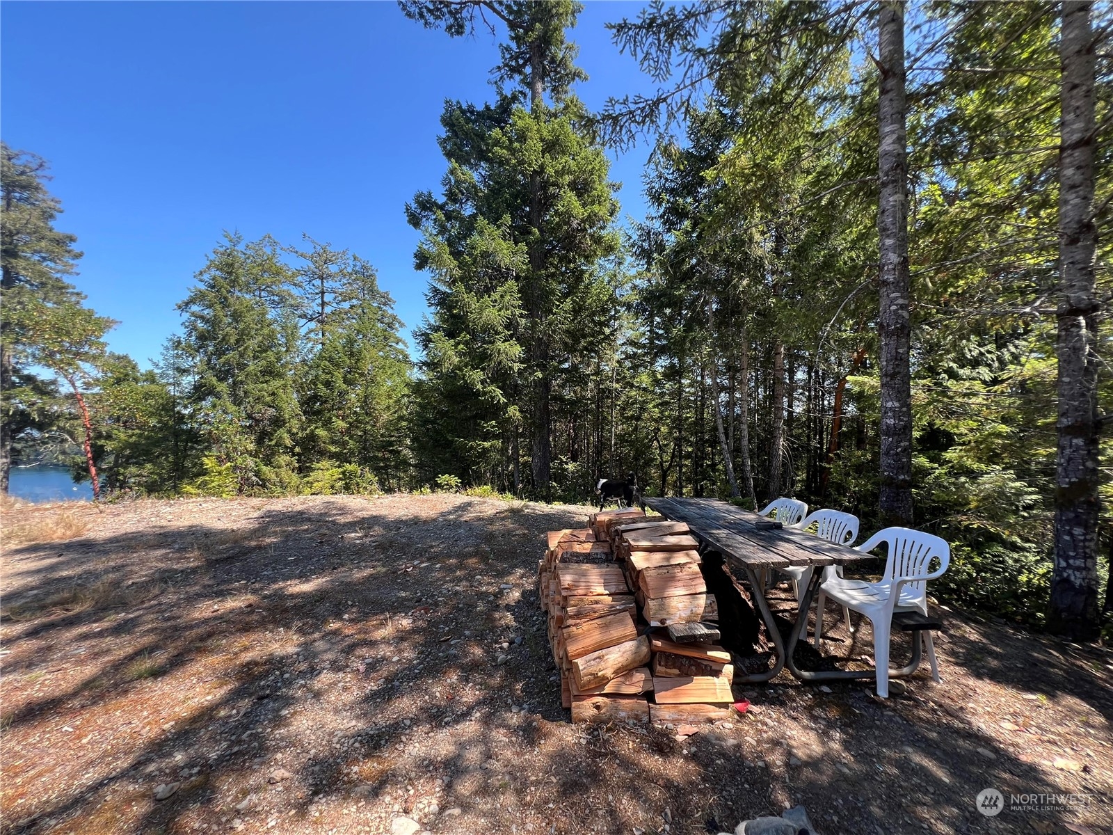 2-xxxx Mt Jupiter Road Brinnon, WA 98320 - Photo 1 of 28