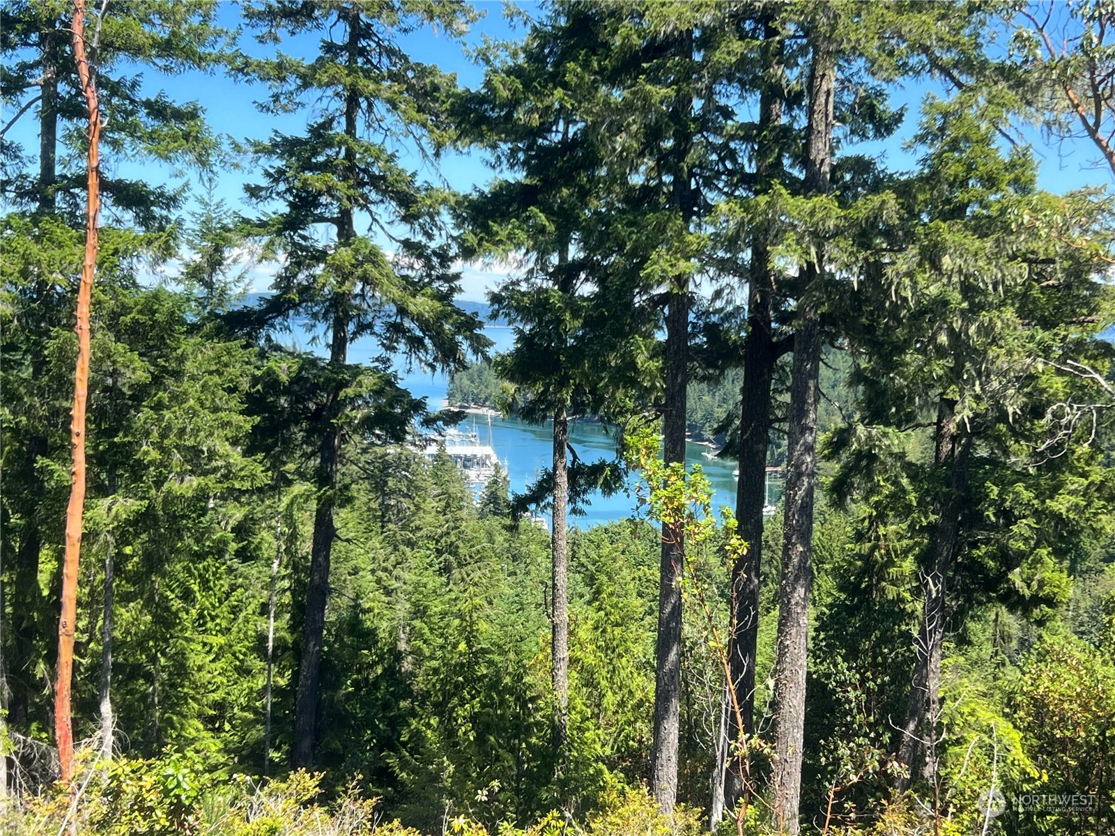 2-xxxx Mt Jupiter Road Brinnon, WA 98320 - Photo 13 of 29