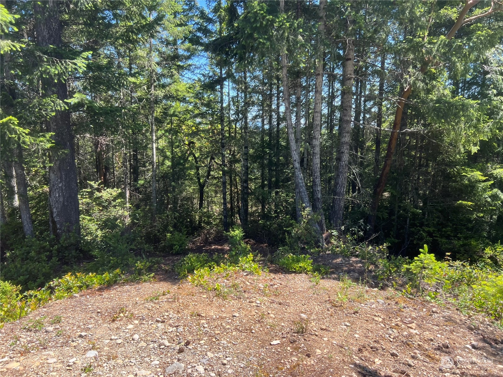 2-xxxx Mt Jupiter Road Brinnon, WA 98320 - Photo 14 of 29