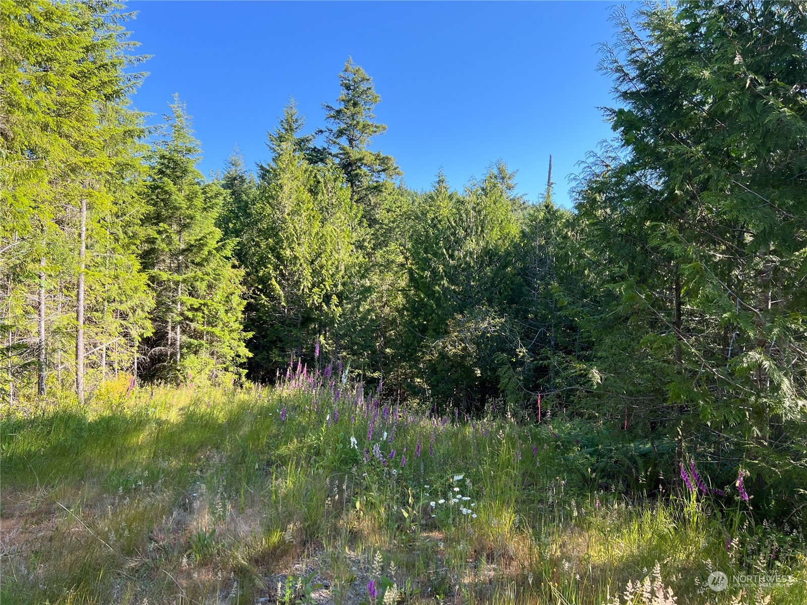 2-xxxx Mt Jupiter Road Brinnon, WA 98320 - Photo 15 of 29