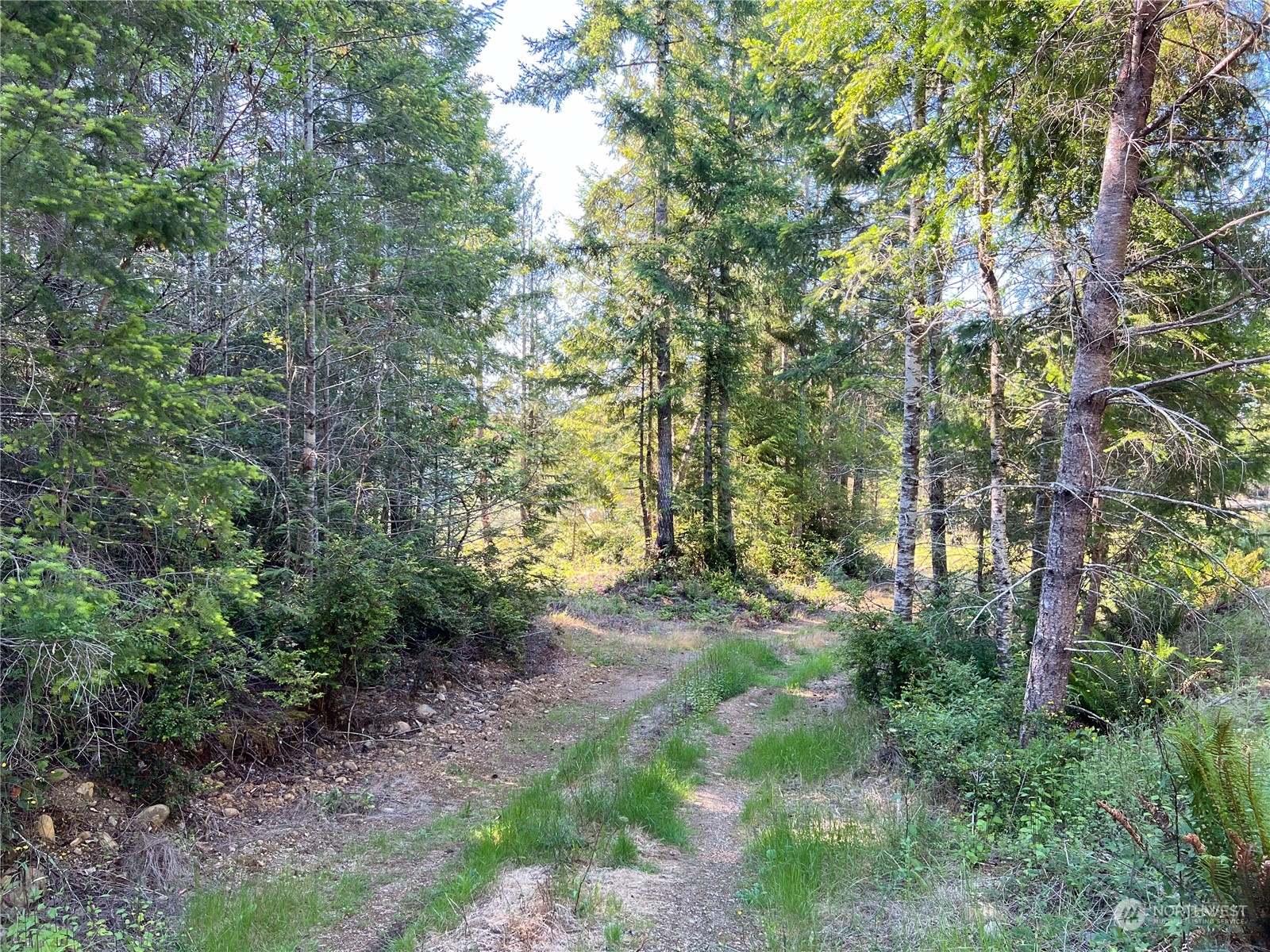 2-xxxx Mt Jupiter Road Brinnon, WA 98320 - Photo 17 of 29