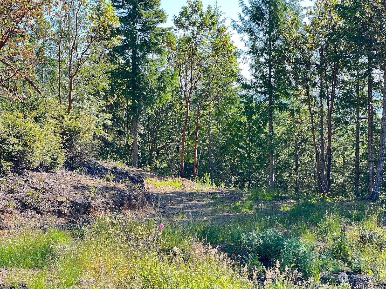 2-xxxx Mt Jupiter Road Brinnon, WA 98320 - Photo 18 of 29