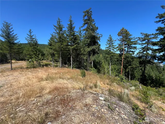 $325,000 | 2-xxxx Mt Jupiter Road, Brinnon, WA 98320