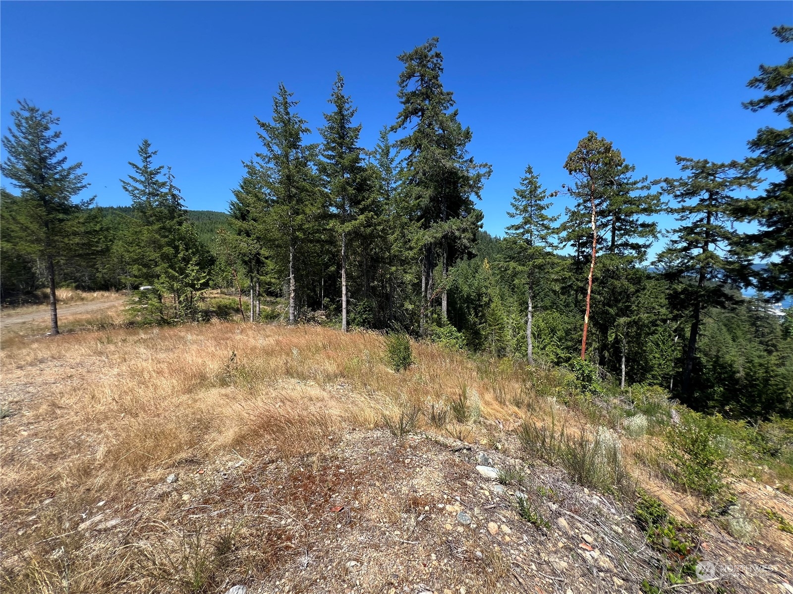 2-xxxx Mt Jupiter Road Brinnon, WA 98320 - Photo 21 of 29