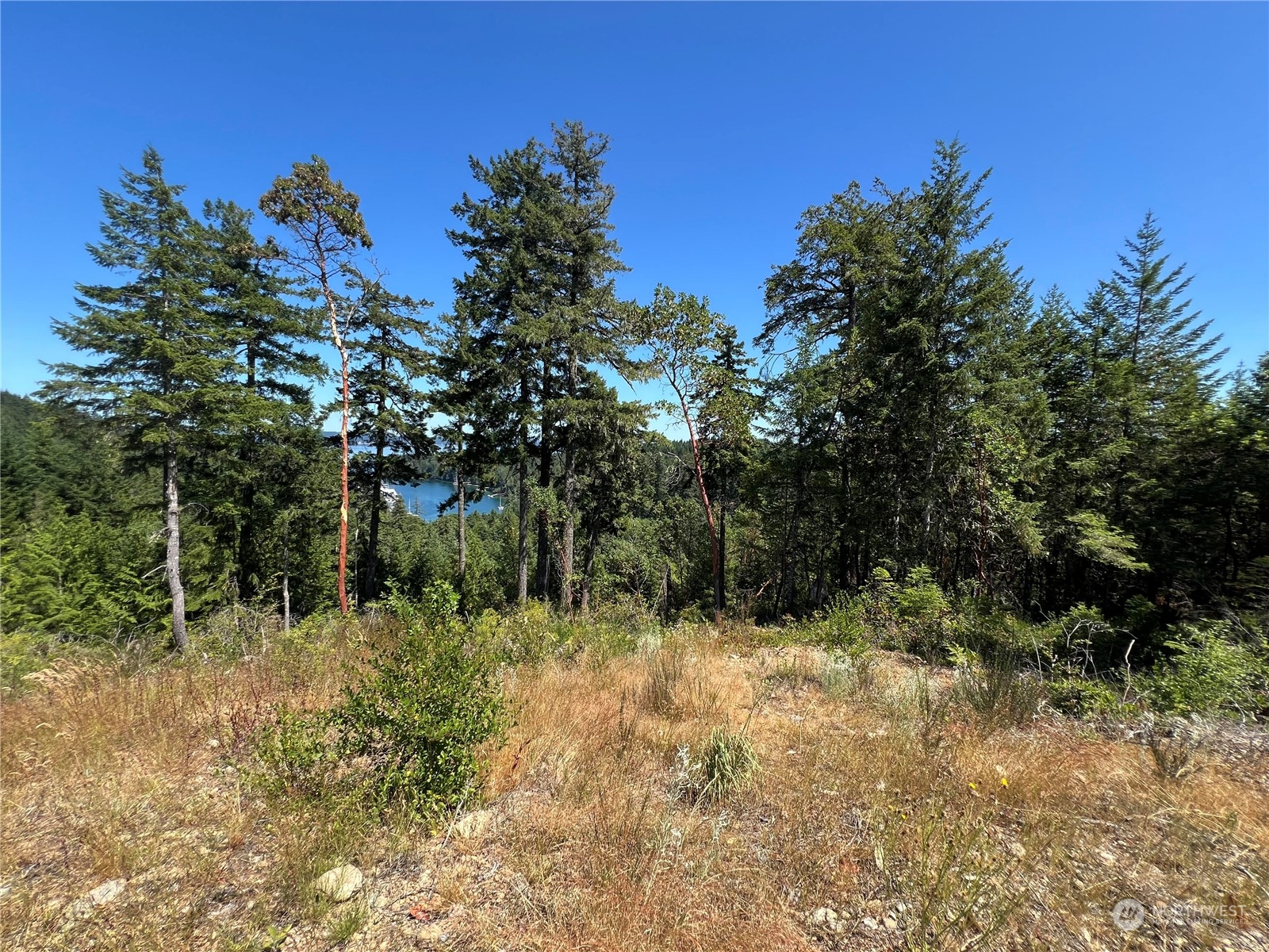 2-xxxx Mt Jupiter Road Brinnon, WA 98320 - Photo 24 of 29