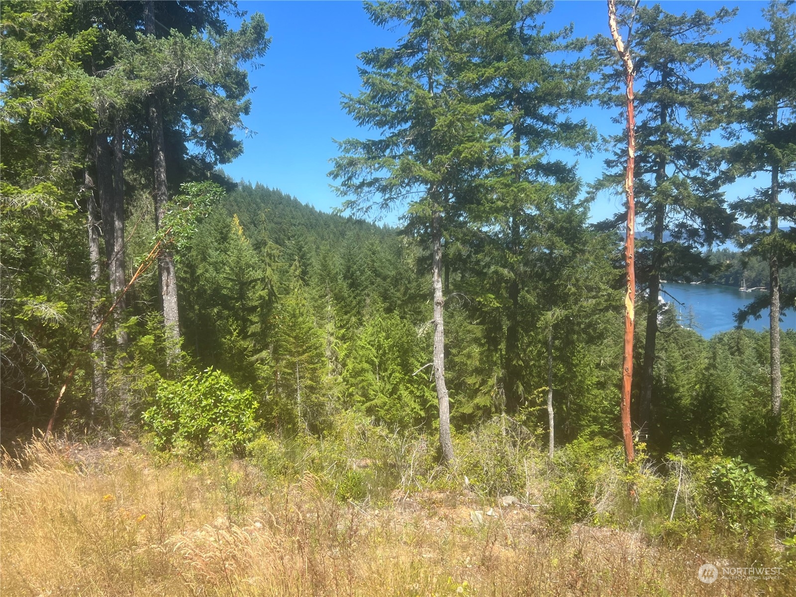 2-xxxx Mt Jupiter Road Brinnon, WA 98320 - Photo 25 of 29