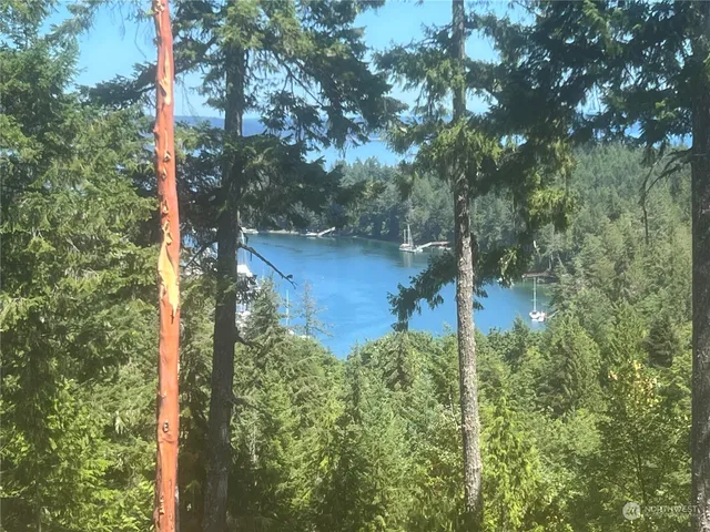 $325,000 | 2-xxxx Mt Jupiter Road, Brinnon, WA 98320