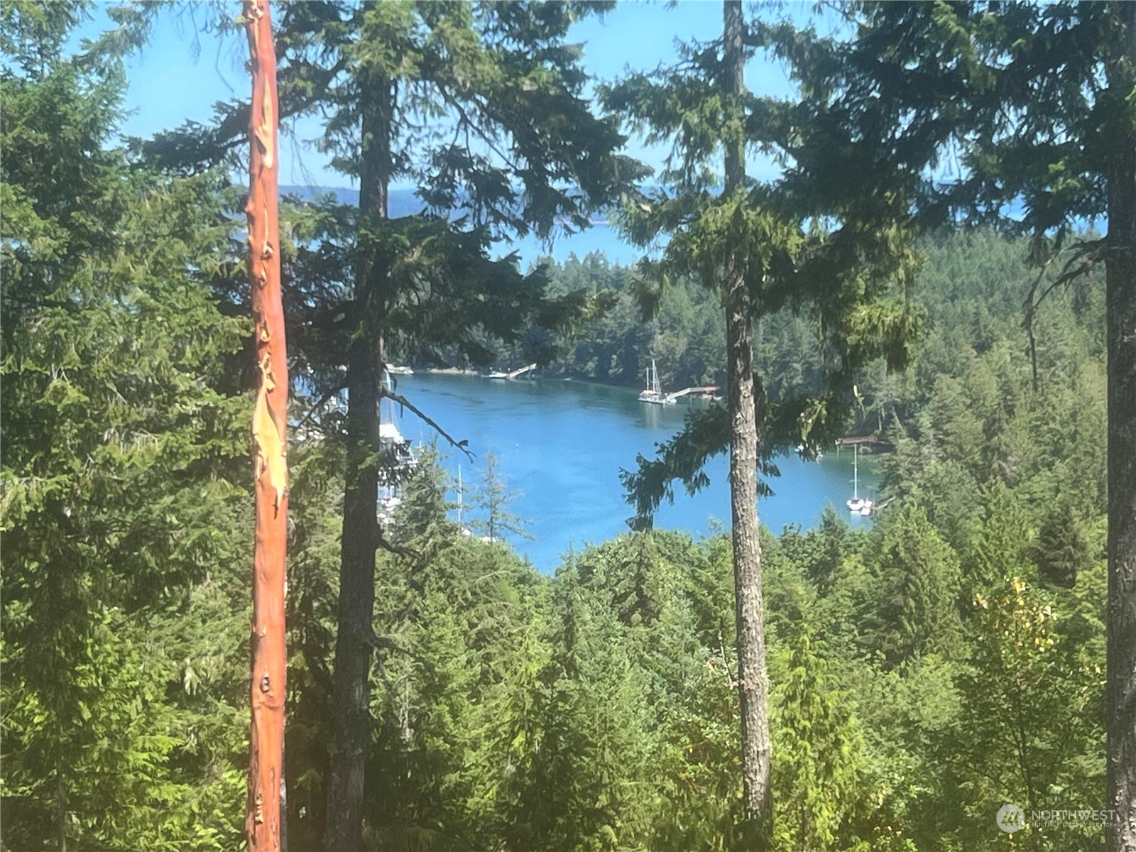 2-xxxx Mt Jupiter Road Brinnon, WA 98320 - Photo 26 of 29