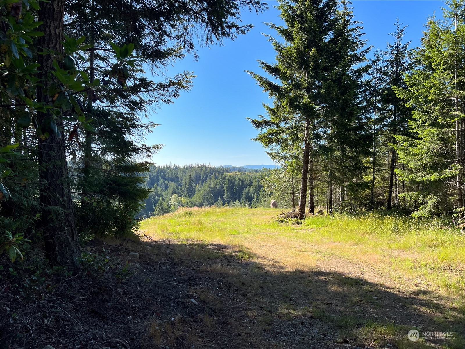 2-xxxx Mt Jupiter Road Brinnon, WA 98320 - Photo 4 of 28