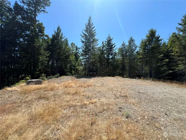 $325,000 | 2-xxxx Mt Jupiter Road, Brinnon, WA 98320