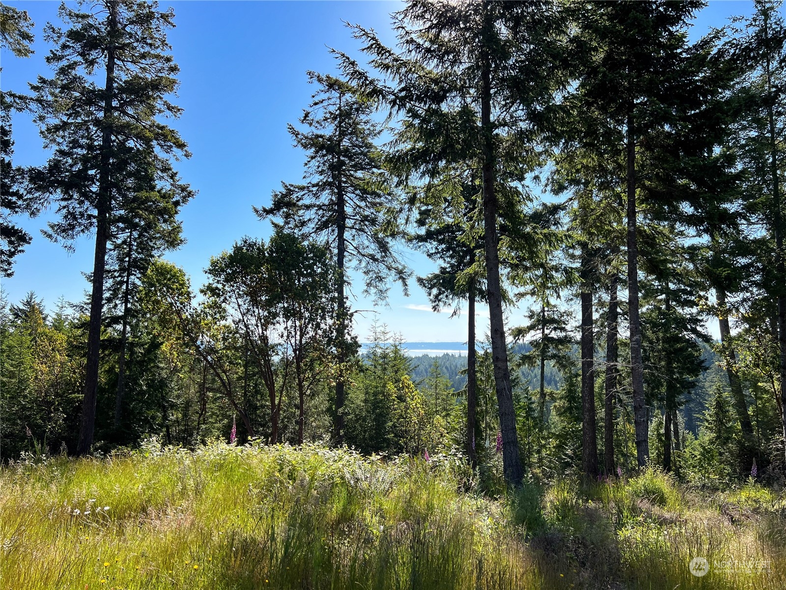 2-xxxx Mt Jupiter Road Brinnon, WA 98320 - Photo 9 of 29