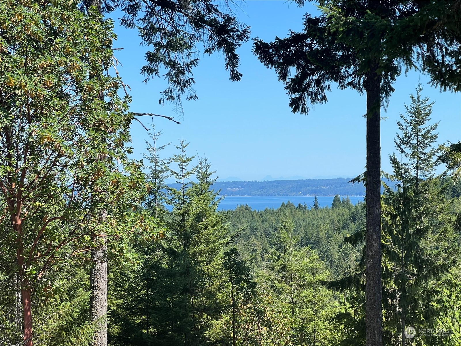 2-xxxx Mt Jupiter Road Brinnon, WA 98320 - Photo 10 of 29