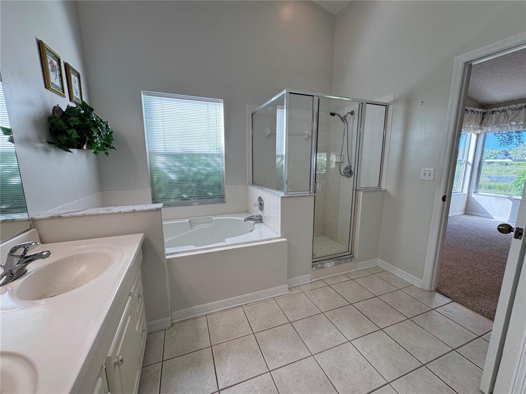 4755 Tara View Road Leesburg, FL 34748 - Photo 68 of 100