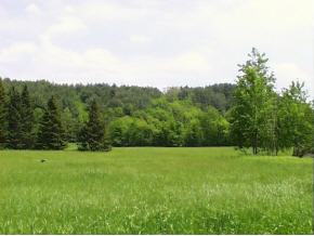2 English Settlement Road Underhill, VT 05489 - Photo 6 of 6 Gallery Image 6
