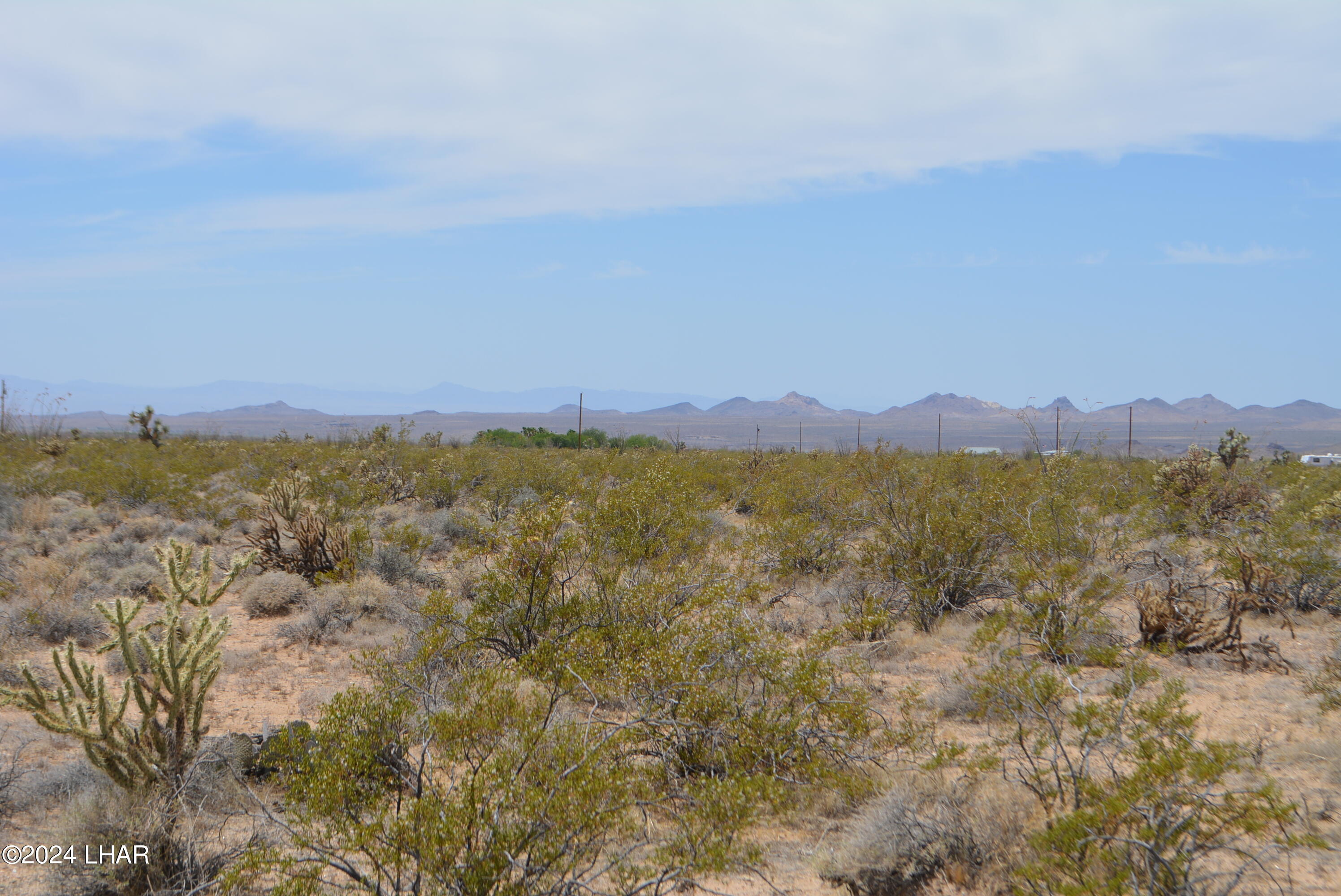 4-lots South 4-lots S Carmen Road Yucca, AZ 86438 - Photo 13 of 28 DSC_0660