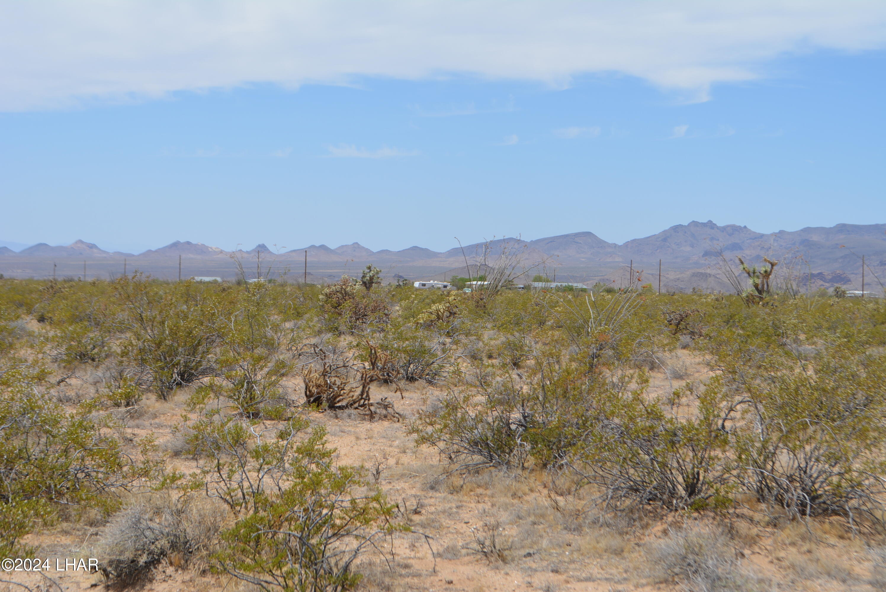 4-lots South 4-lots S Carmen Road Yucca, AZ 86438 - Photo 14 of 28 DSC_0661