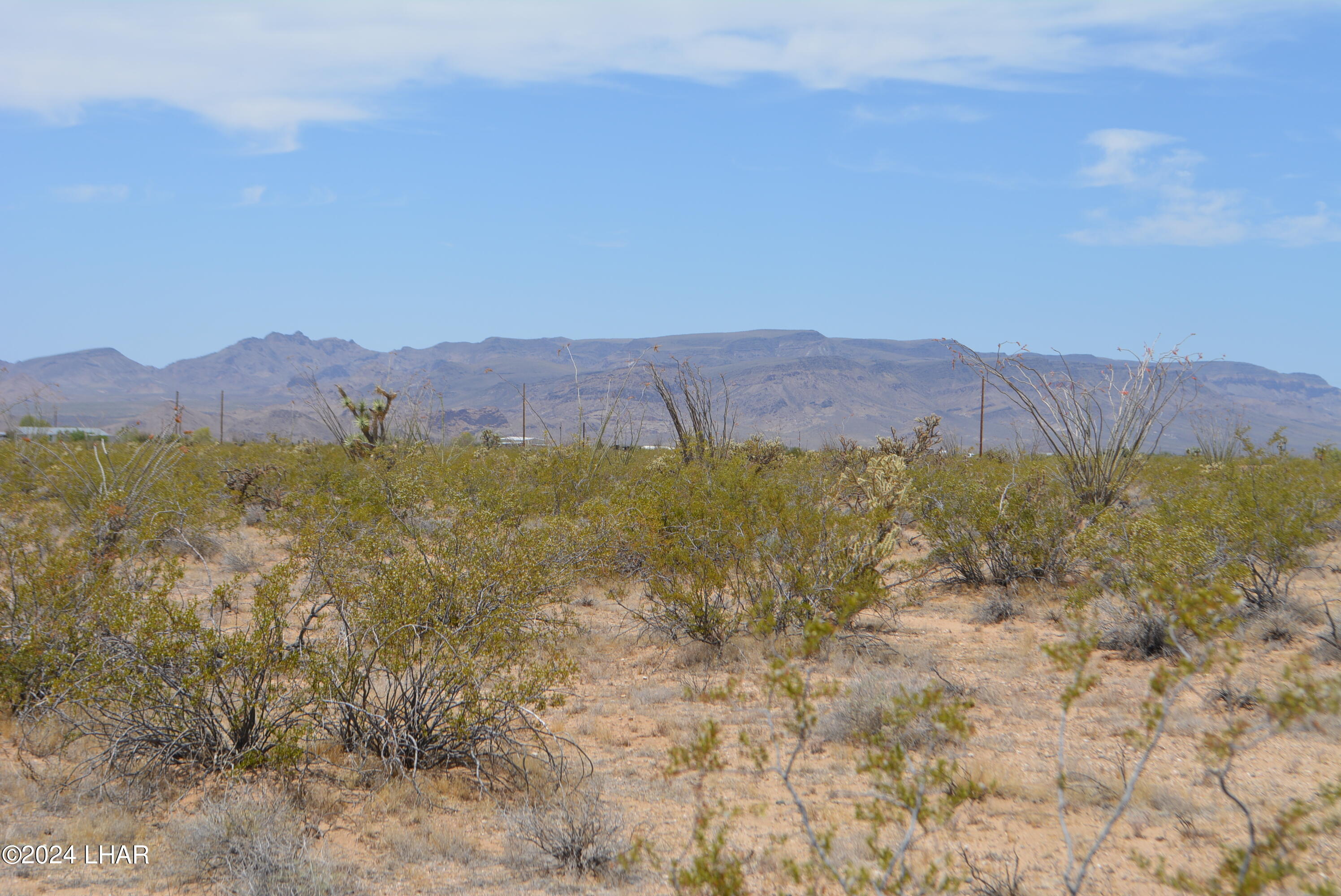 4-lots South 4-lots S Carmen Road Yucca, AZ 86438 - Photo 15 of 28 DSC_0662