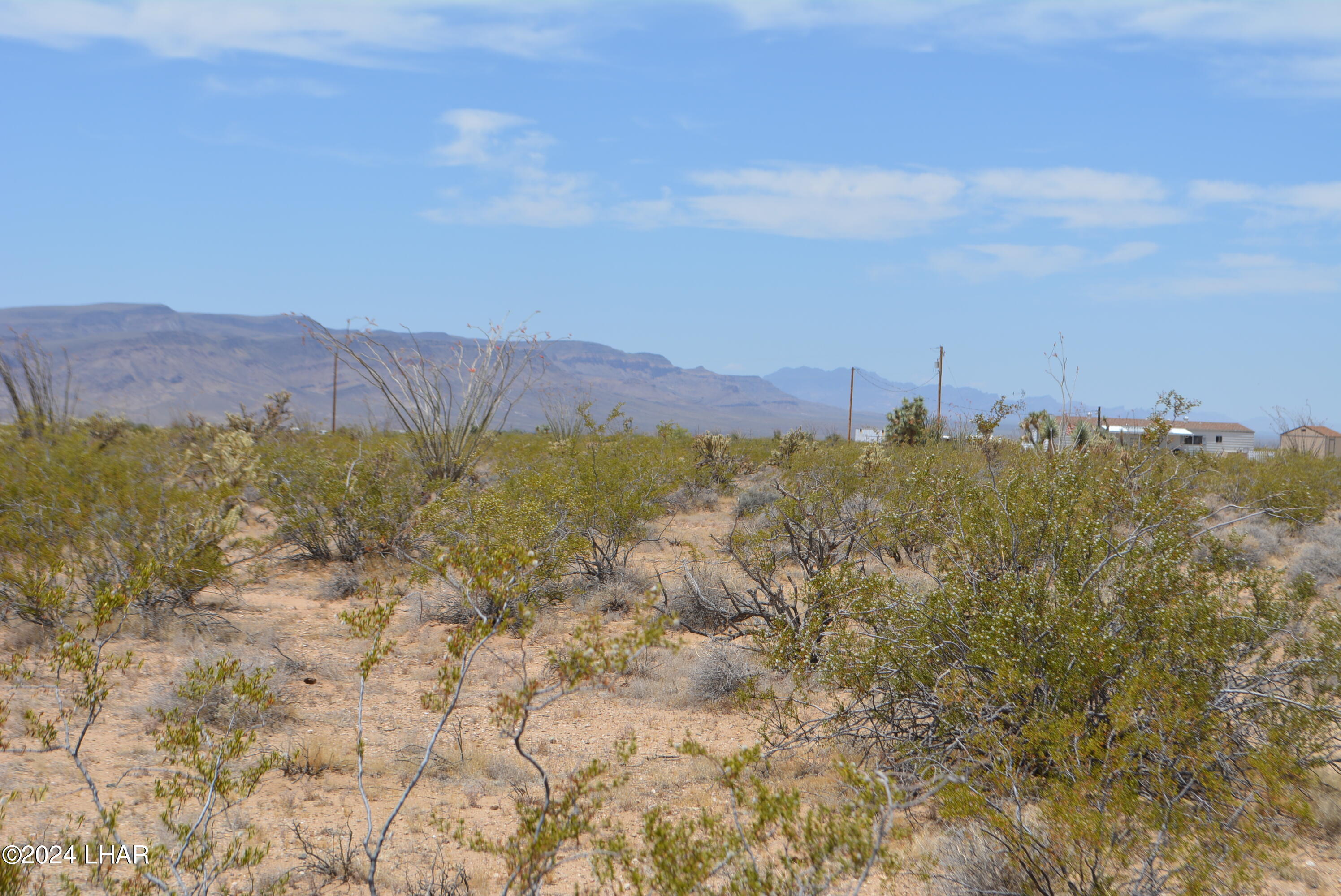 4-lots South 4-lots S Carmen Road Yucca, AZ 86438 - Photo 16 of 28 DSC_0663