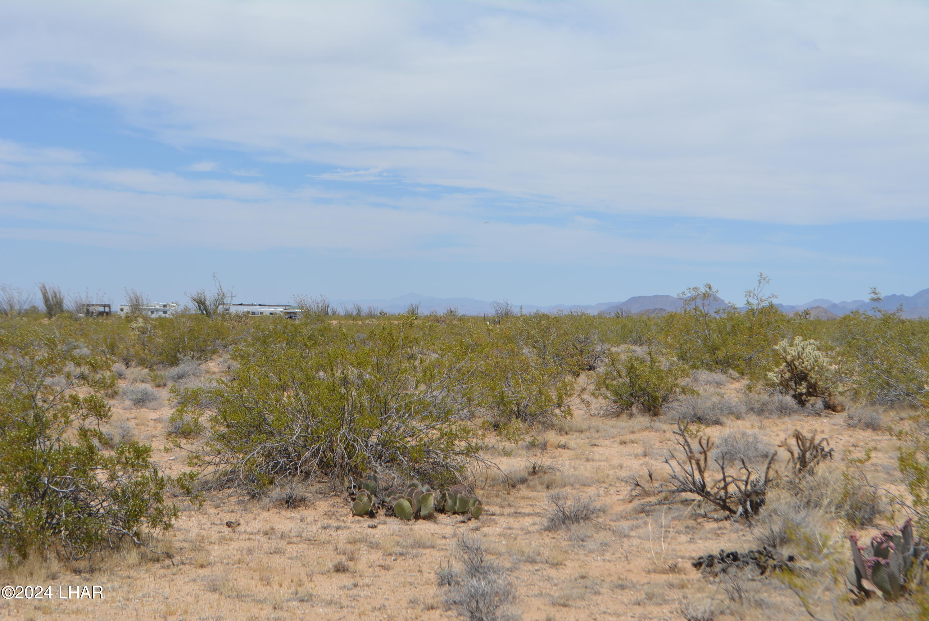 4-lots South 4-lots S Carmen Road Yucca, AZ 86438 - Photo 18 of 28 DSC_0665