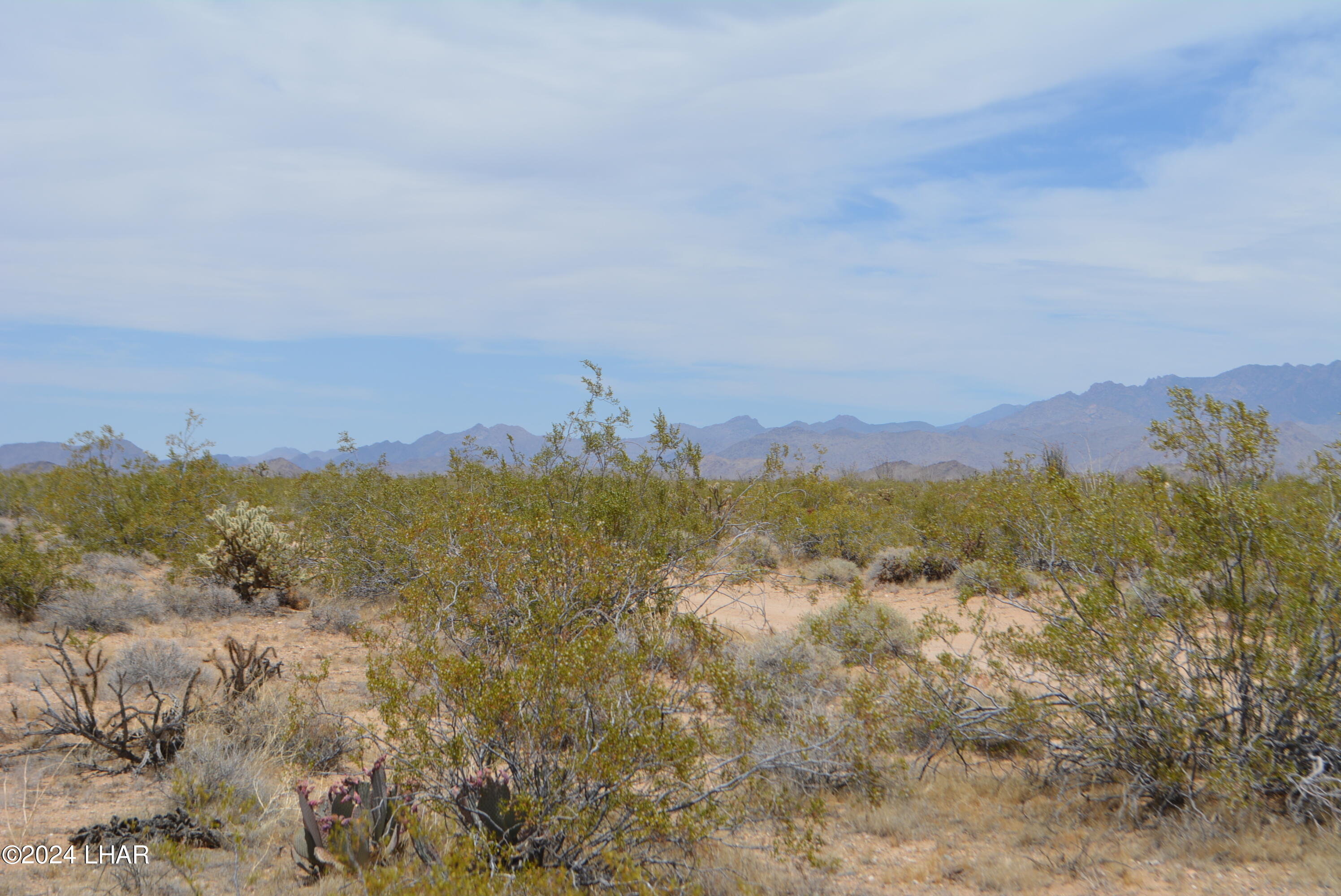 4-lots South 4-lots S Carmen Road Yucca, AZ 86438 - Photo 19 of 28 DSC_0666