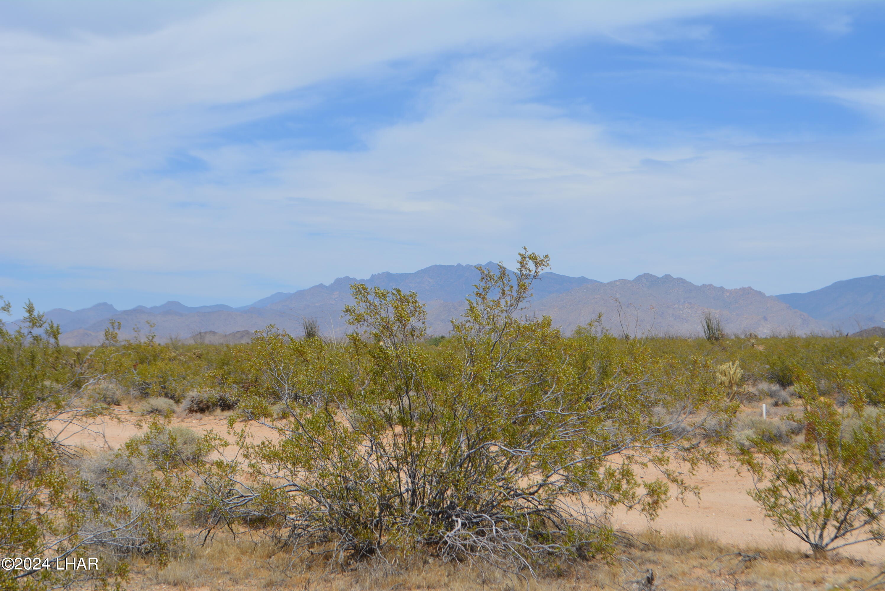4-lots South 4-lots S Carmen Road Yucca, AZ 86438 - Photo 20 of 28 DSC_0667
