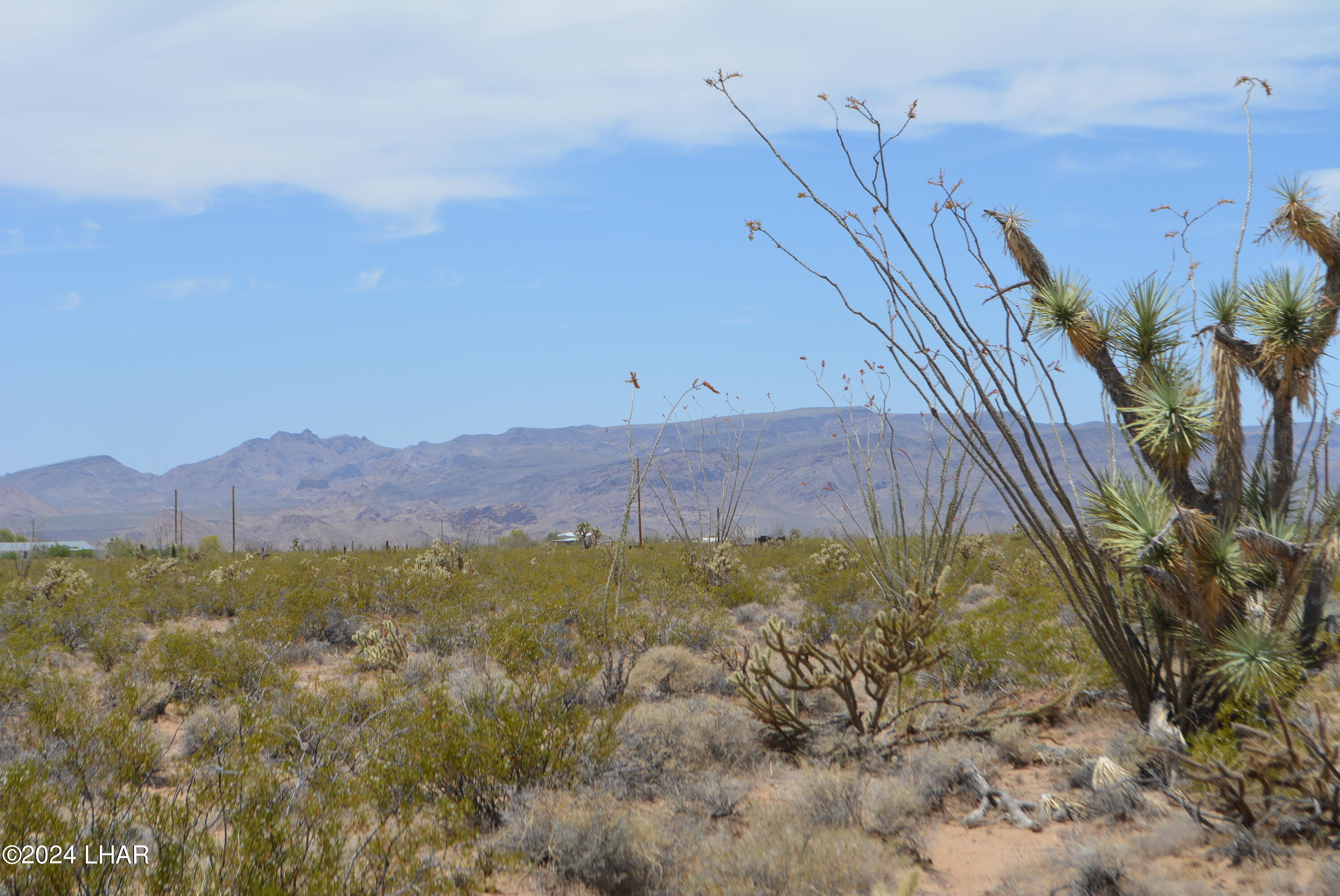 4-lots South 4-lots S Carmen Road Yucca, AZ 86438 - Photo 2 of 28 DSC_0679