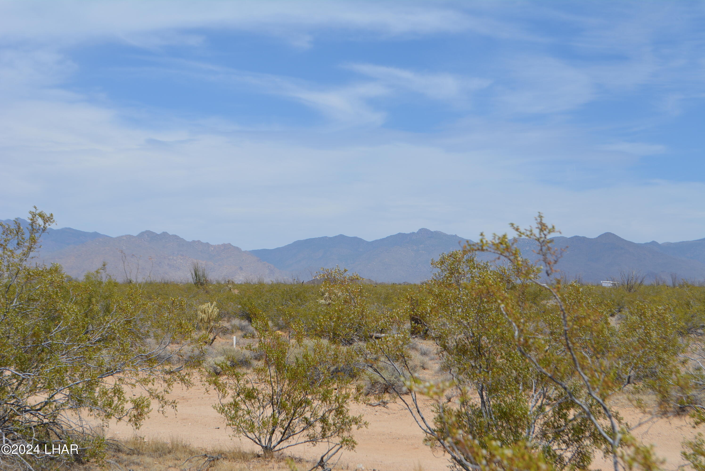 4-lots South 4-lots S Carmen Road Yucca, AZ 86438 - Photo 21 of 28 DSC_0668