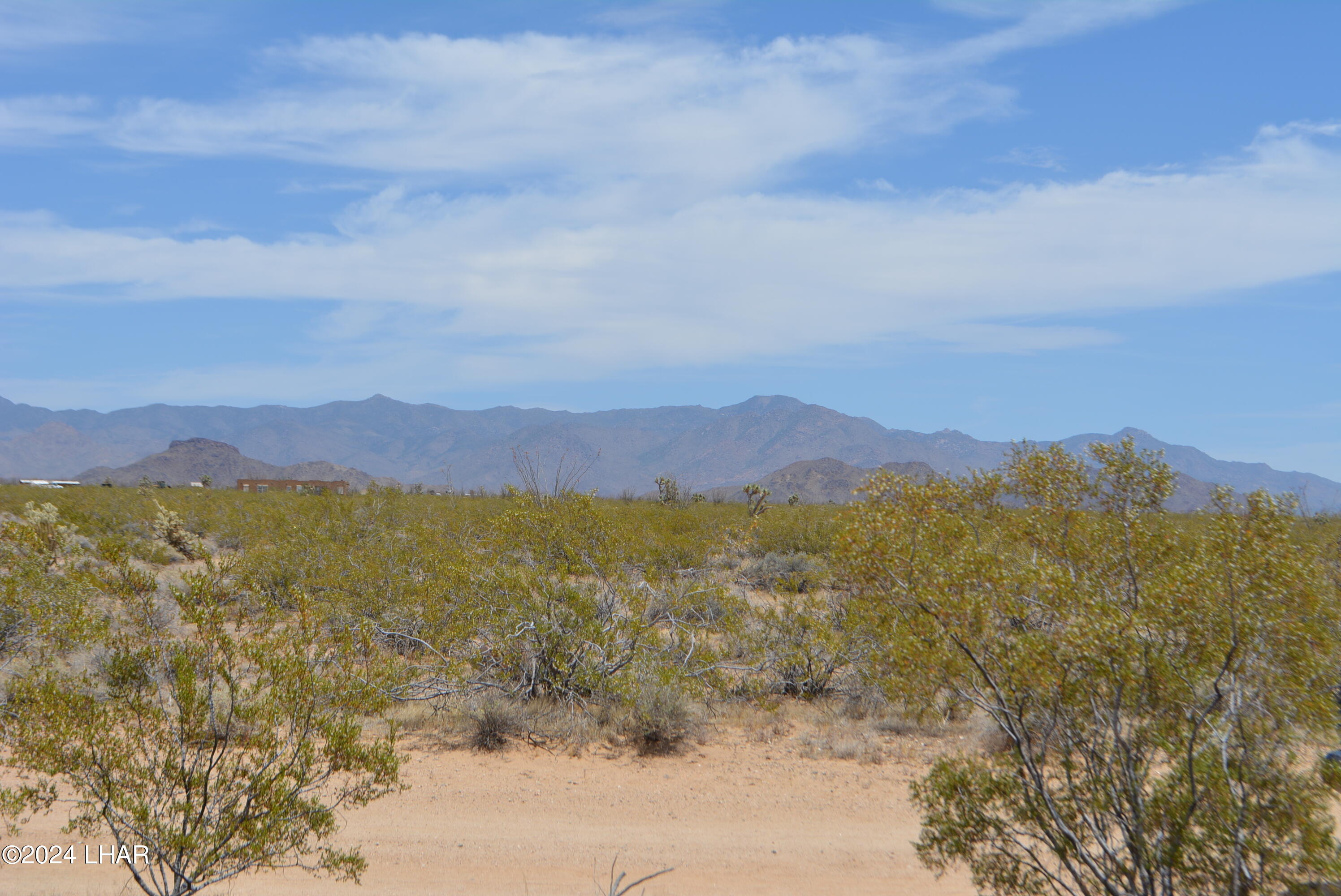 4-lots South 4-lots S Carmen Road Yucca, AZ 86438 - Photo 24 of 28 DSC_0671