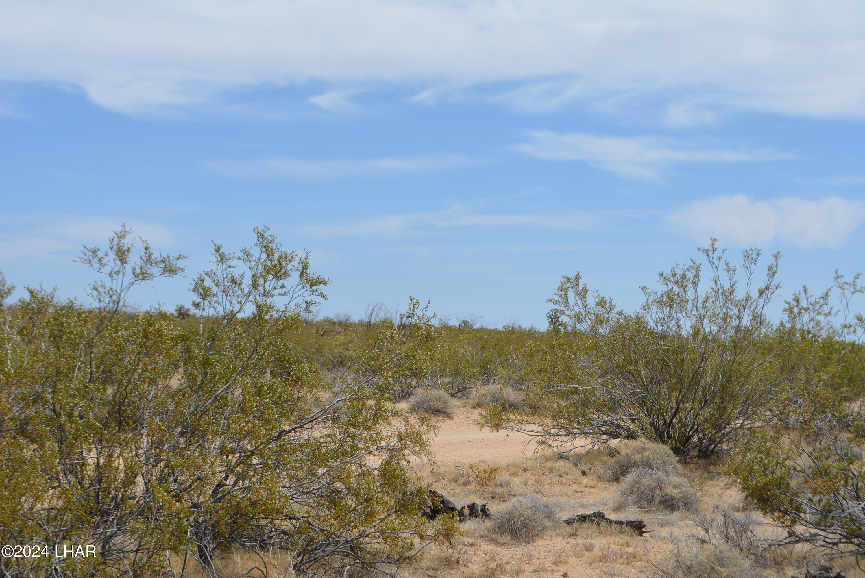 4-lots South 4-lots S Carmen Road Yucca, AZ 86438 - Photo 26 of 28 DSC_0673