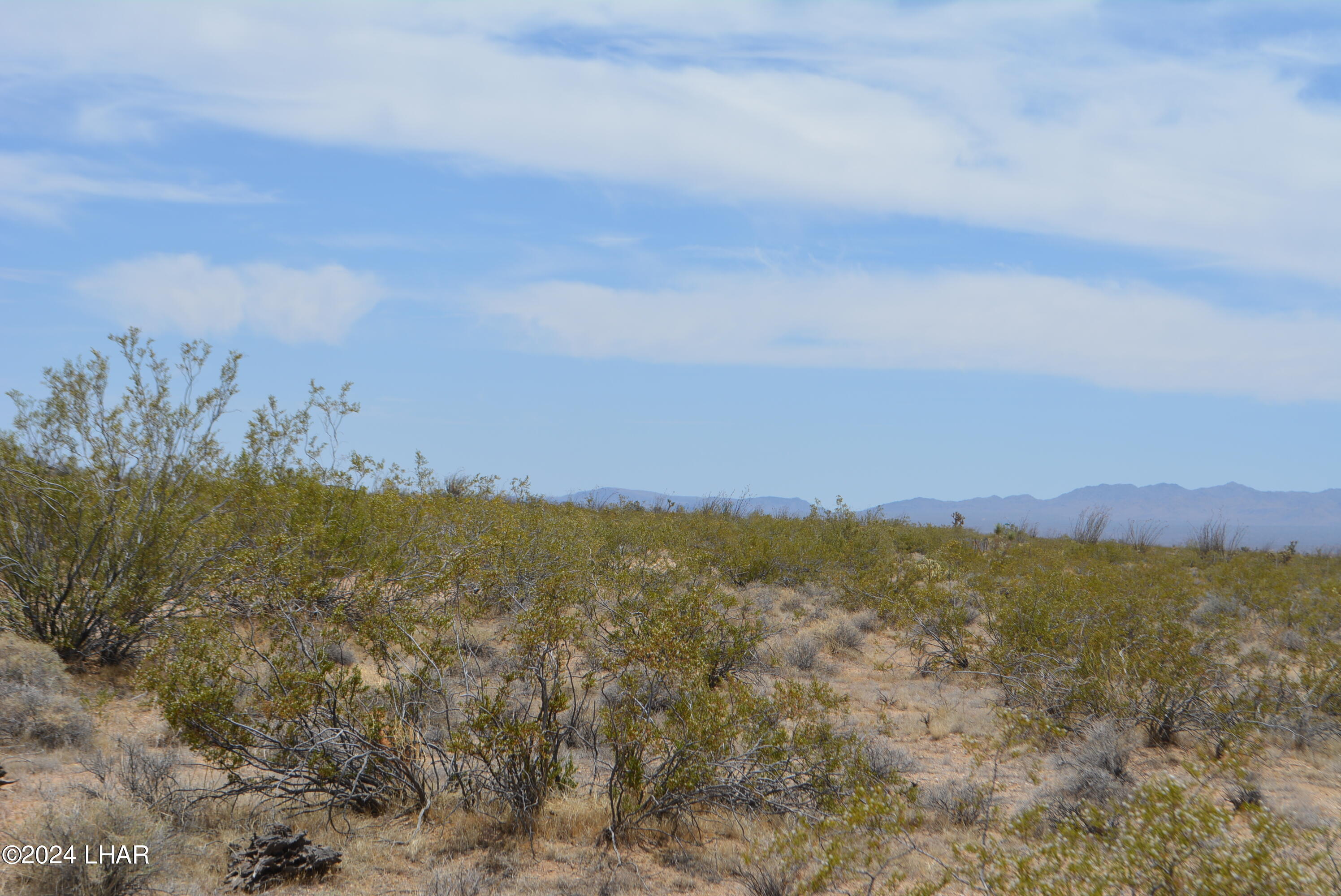 4-lots South 4-lots S Carmen Road Yucca, AZ 86438 - Photo 27 of 28 DSC_0674