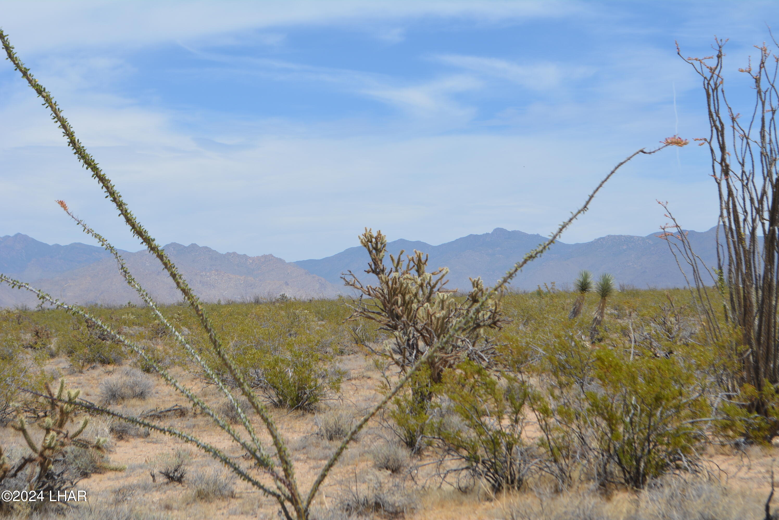 4-lots South 4-lots S Carmen Road Yucca, AZ 86438 - Photo 3 of 28 DSC_0680