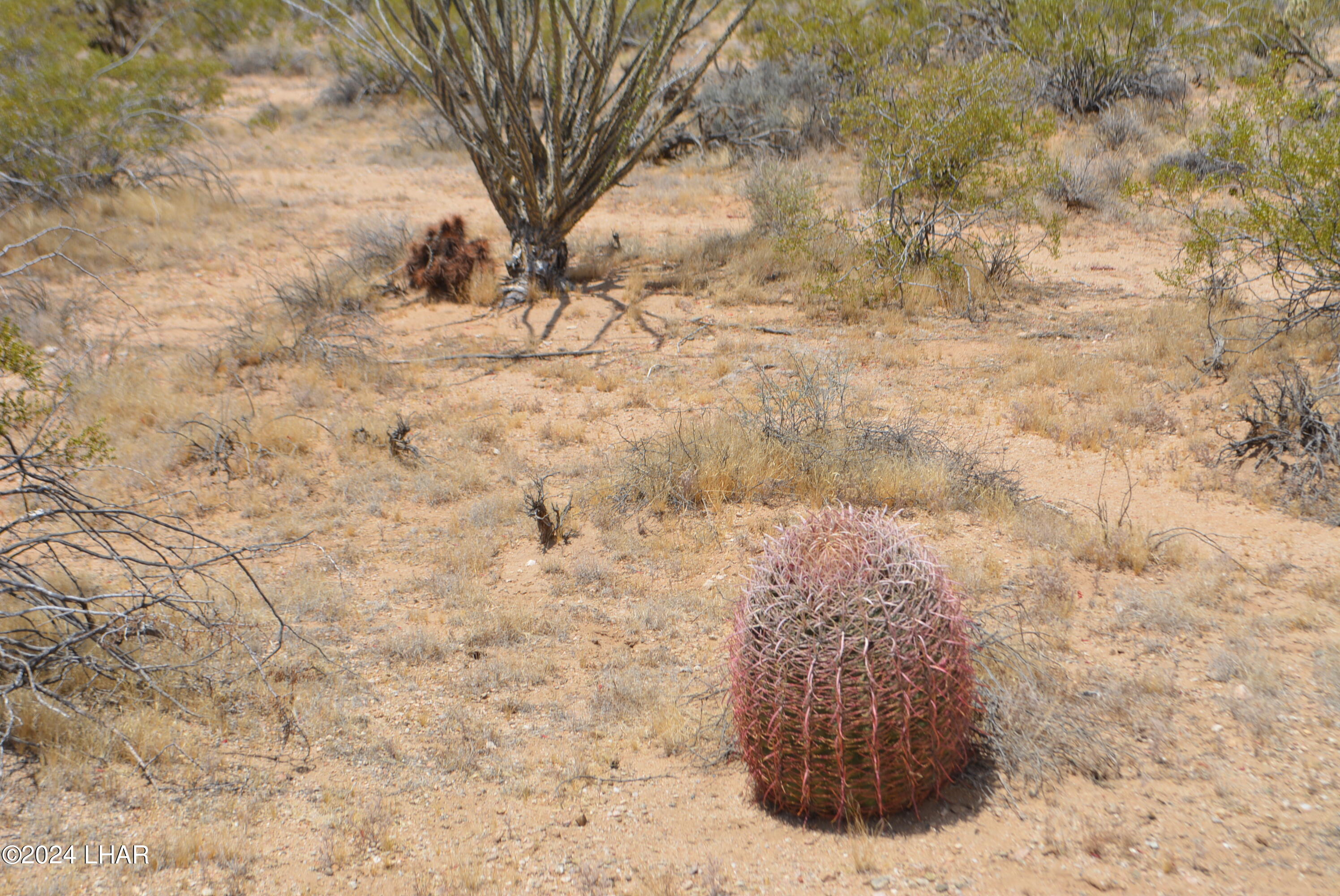 4-lots South 4-lots S Carmen Road Yucca, AZ 86438 - Photo 4 of 28 DSC_0675