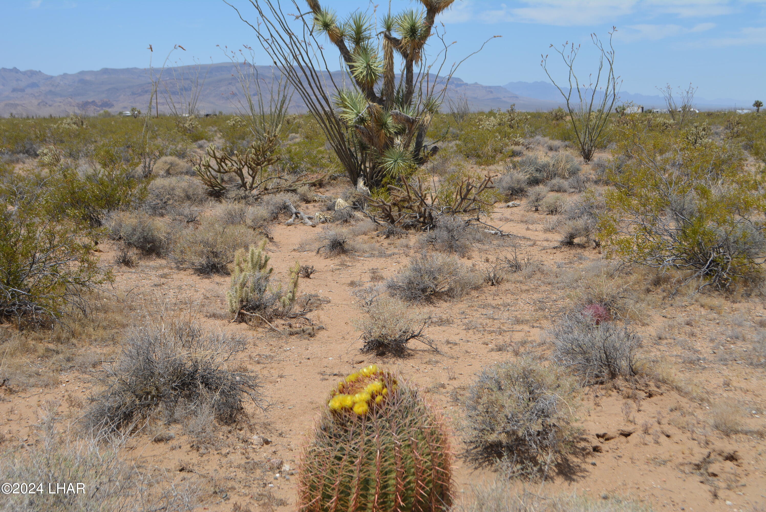4-lots South 4-lots S Carmen Road Yucca, AZ 86438 - Photo 6 of 28 DSC_0677