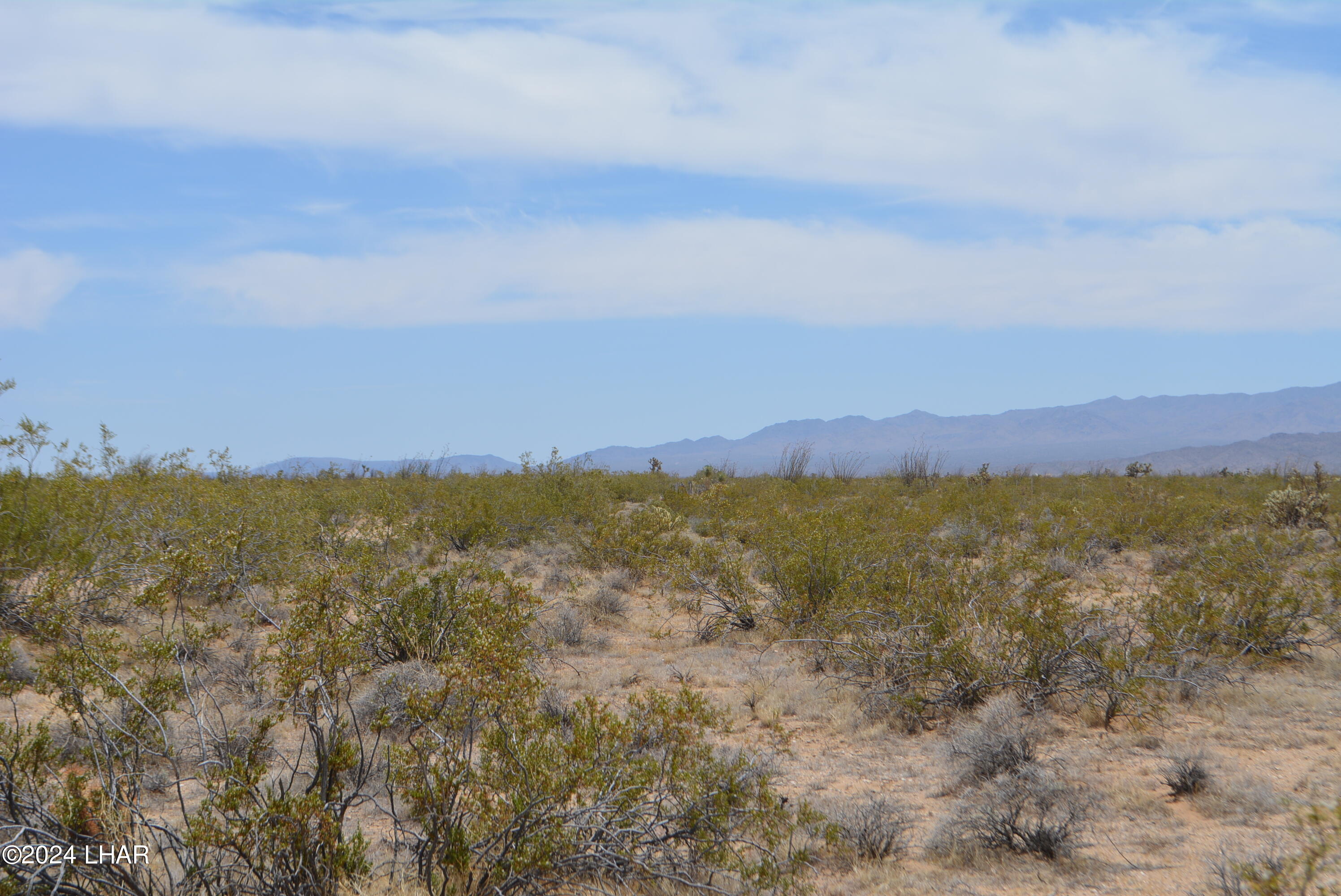 4-lots South 4-lots S Carmen Road Yucca, AZ 86438 - Photo 7 of 28 DSC_0654