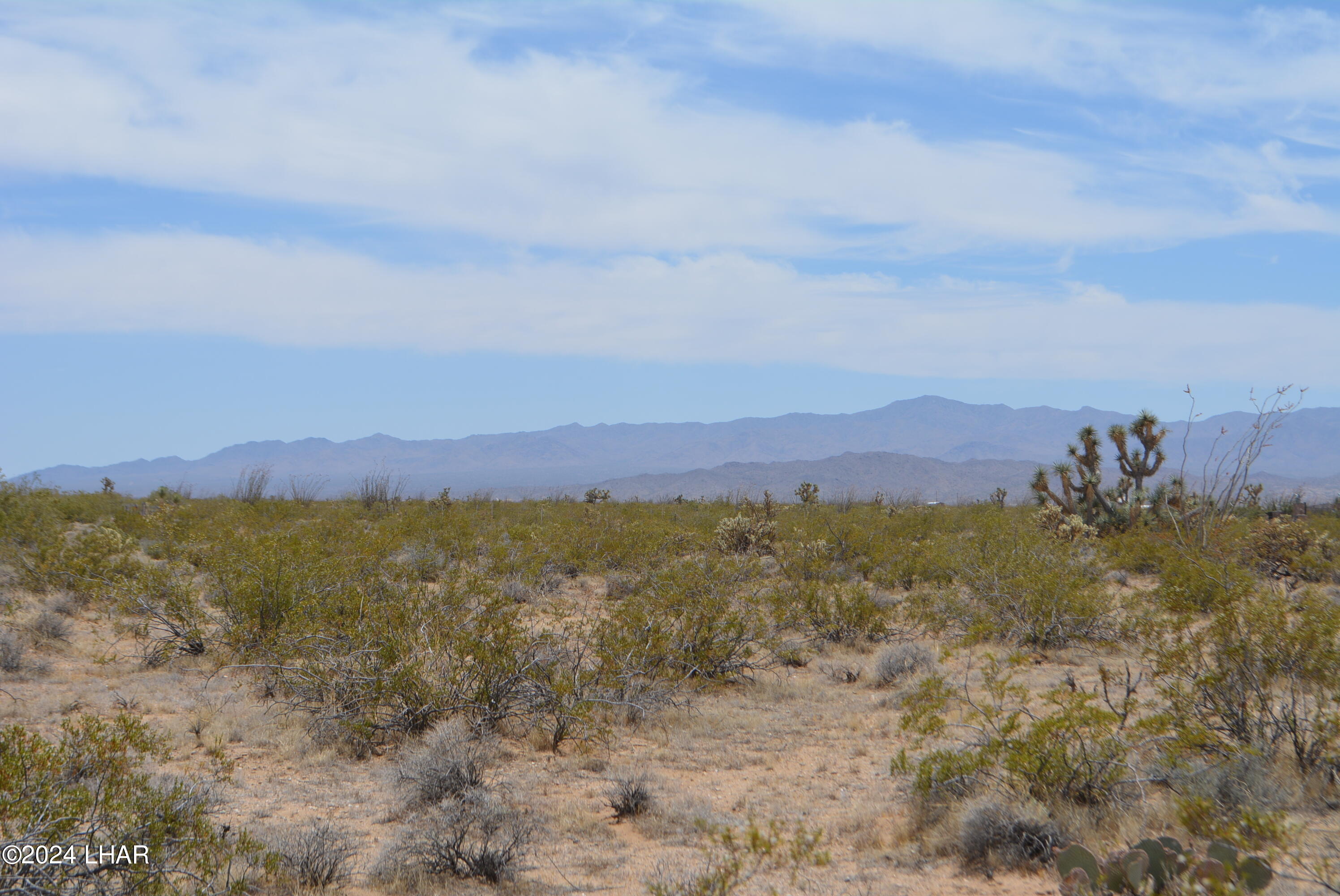 4-lots South 4-lots S Carmen Road Yucca, AZ 86438 - Photo 8 of 28 DSC_0655
