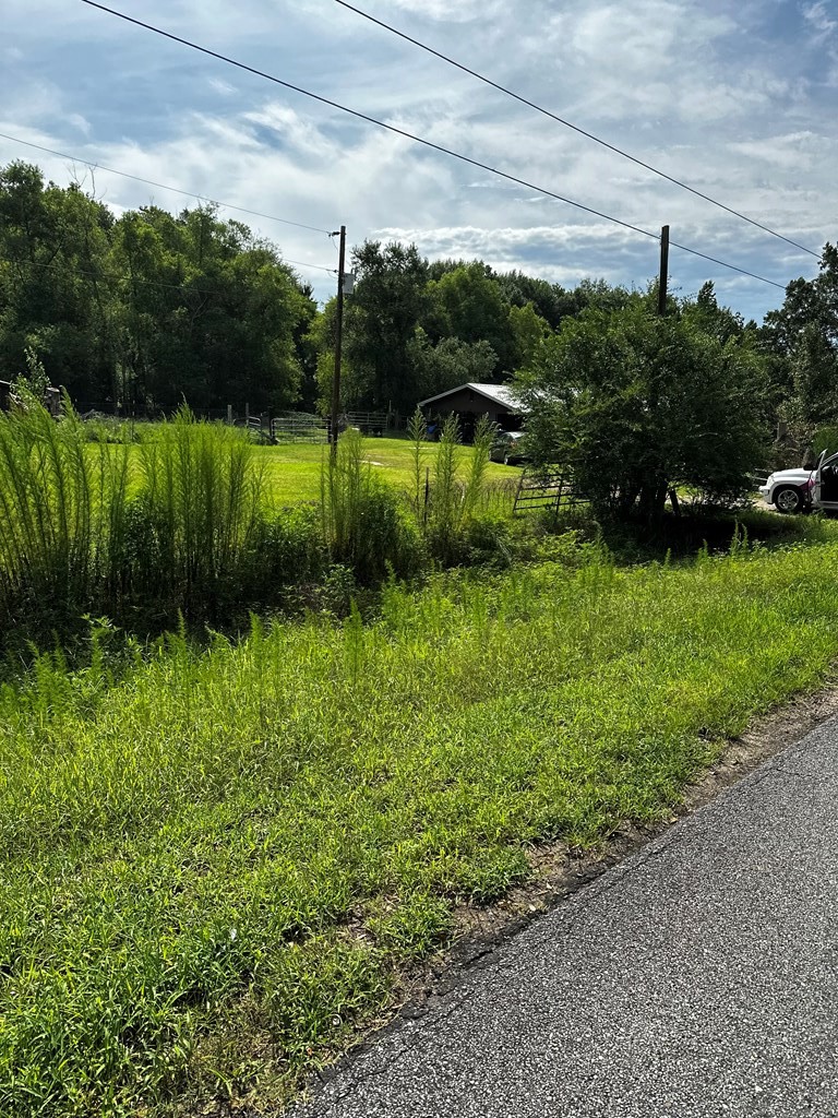 0 Watson Bridge Road Dothan, AL 36303 - Photo 2 of 9