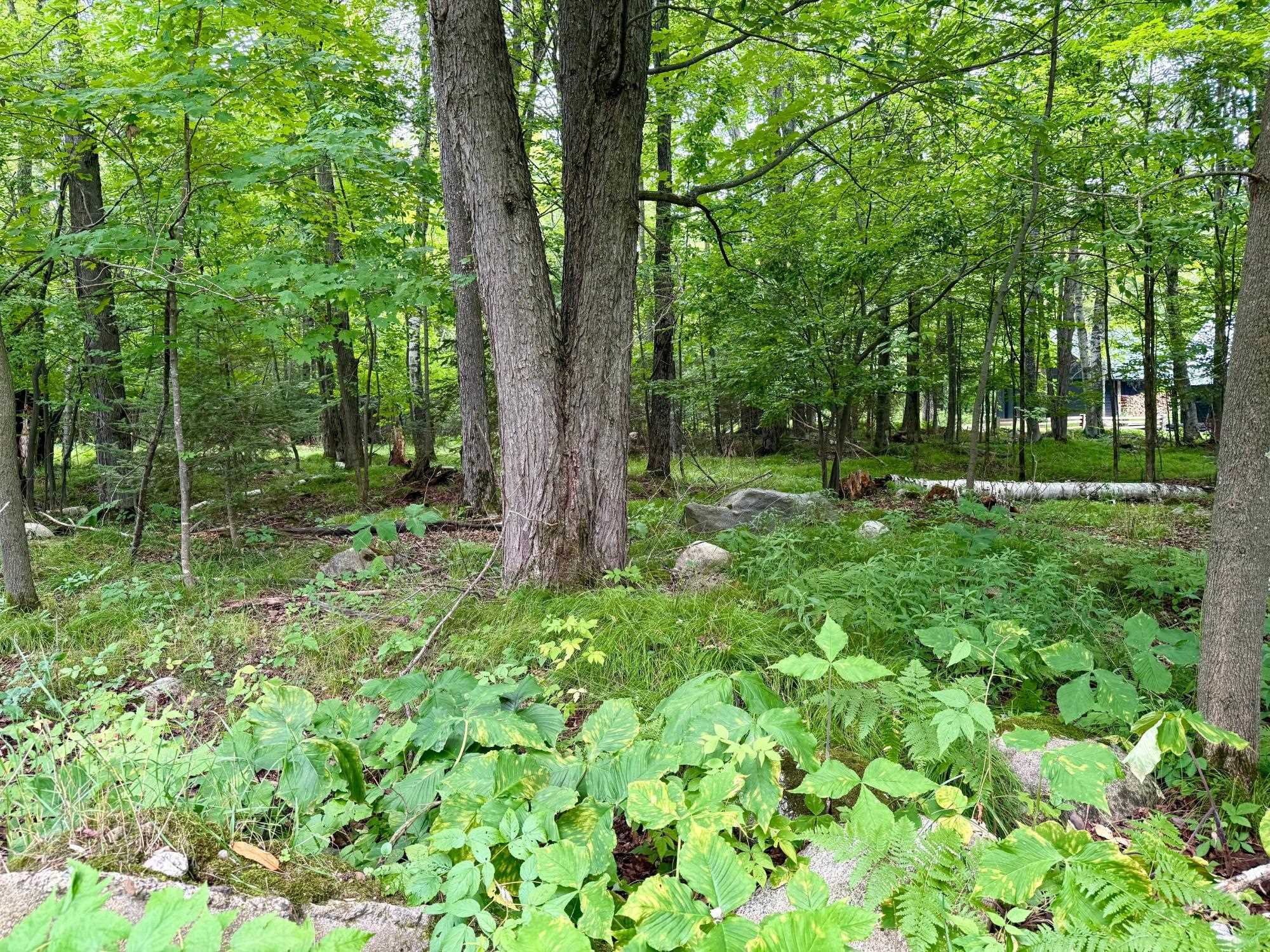 W6845 Disappearing Creek Road Phillips, WI 54555 - Photo 25 of 45
