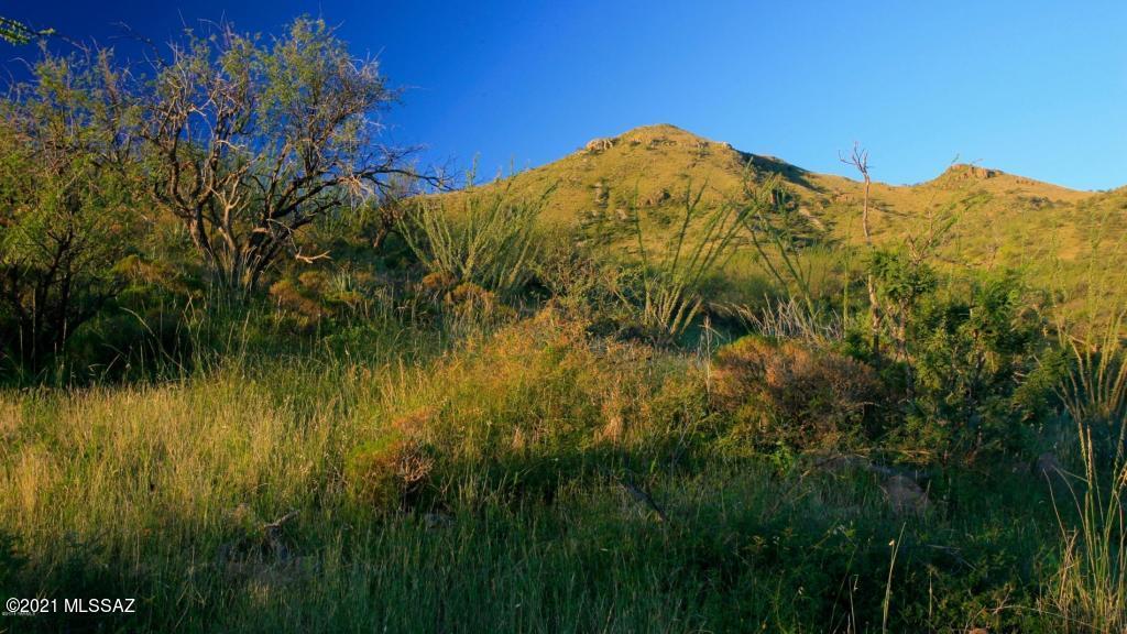 166 Ramada Trail, Unit 107 Rio Rico, AZ 85648 - Photo 3 of 22