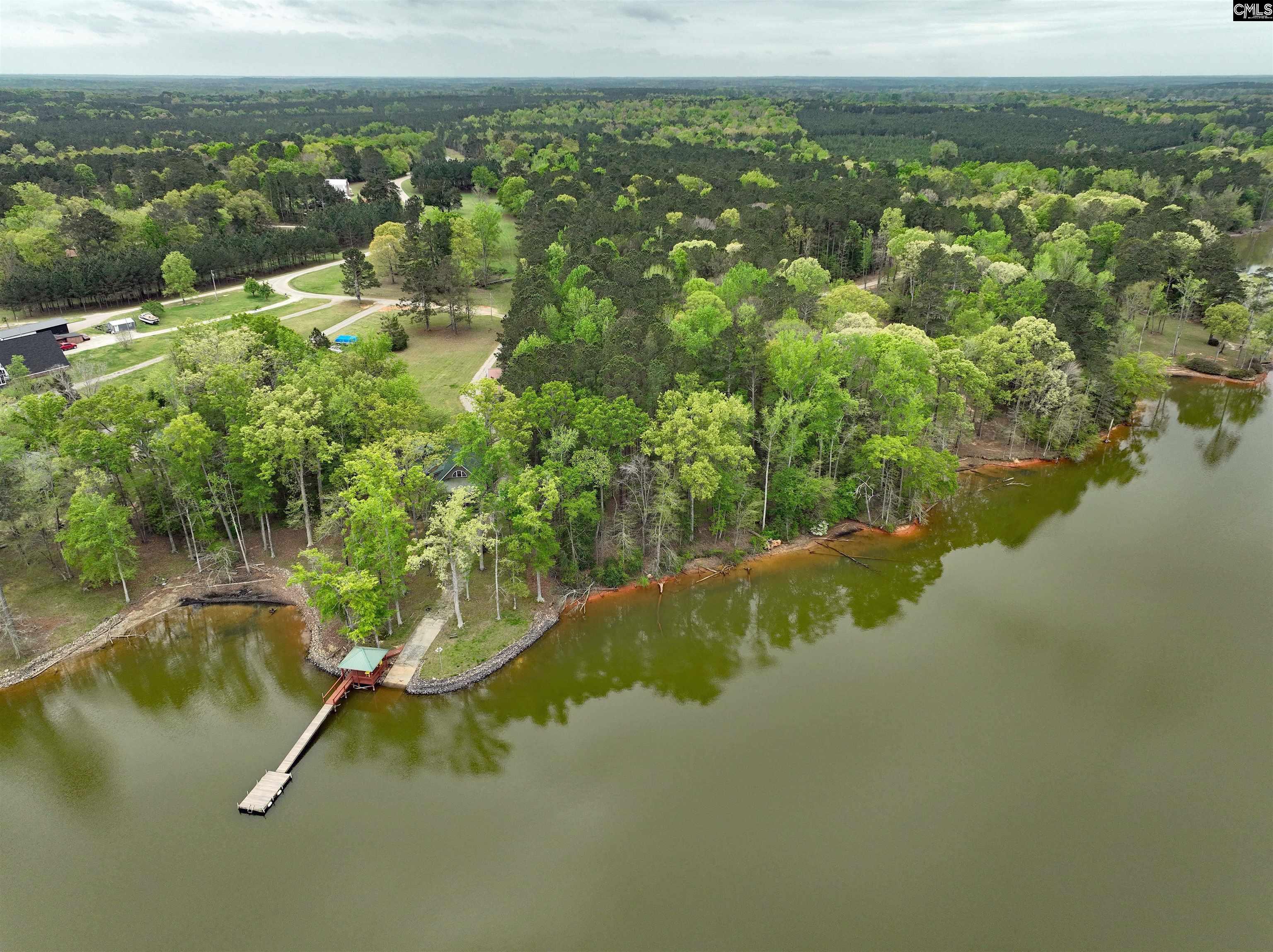 Tbd Fannie Black Road Prosperity, SC 29127 - Photo 3 of 28