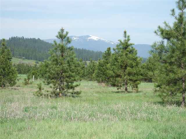 21710 North Hardesty Road, Unit LOT A Colbert, WA 99005 - Photo 1 of 9